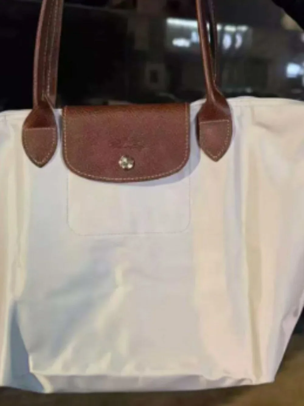 longchamp bag large
